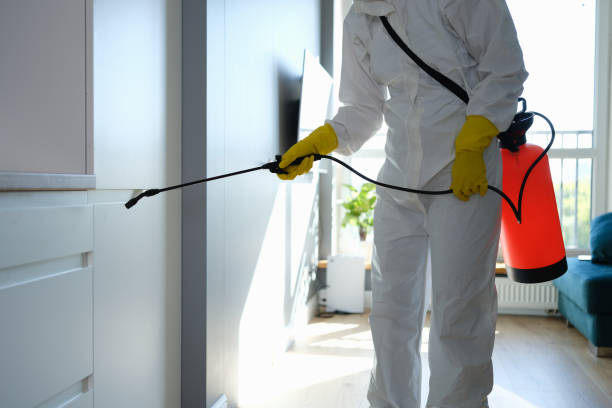 Best Attic Mold Removal  in Garden View, PA