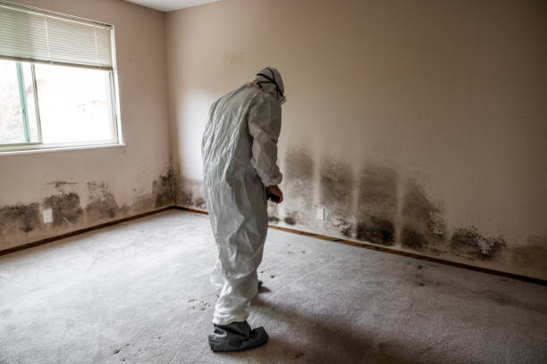 Best Crawl Space Mold Removal  in Garden View, PA