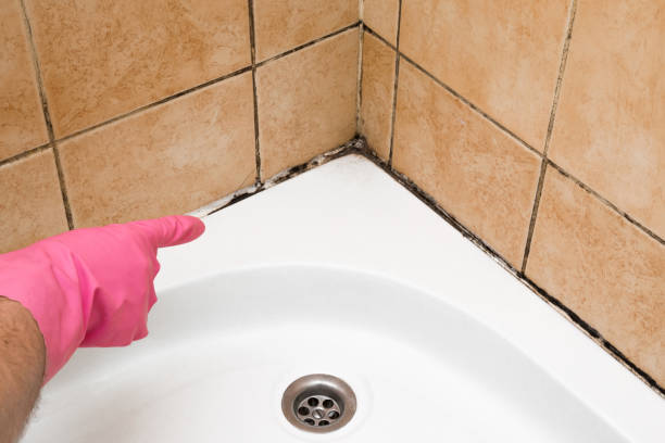 Best Mold Damage Repair  in Garden View, PA